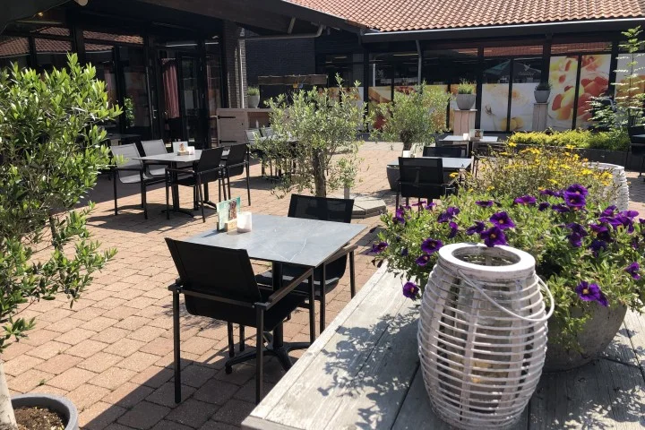 Terras